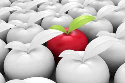 f8cf49e8-8ff6-40e3-a587-a46a4e6f807c