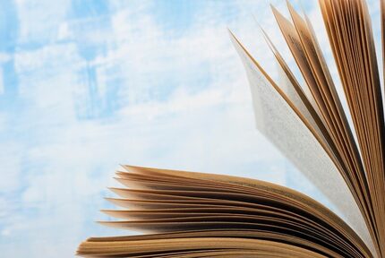 af1d2023-7f33-44dd-a2cb-a0d5a5c38320