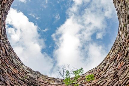 3ccaf0e8-ecaa-41e2-ae42-2b6bb081c59c