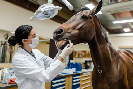 6eFTh7XkRc2b9EgPZcnang