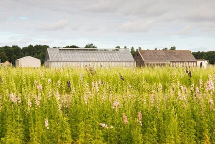 da44d11e-eda5-41bc-b33b-734f86d1591b